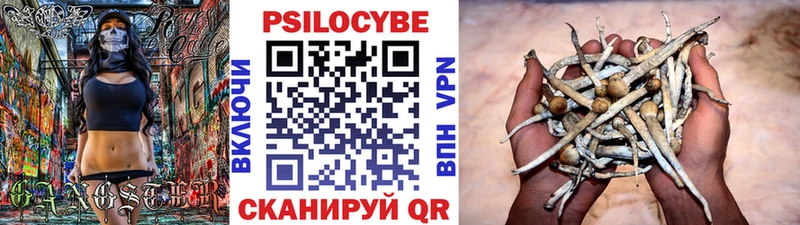omg tor  Чаплыгин  Псилоцибиновые грибы прущие грибы  купить закладку 